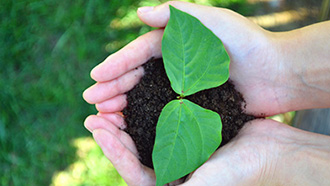 开云官方站官网