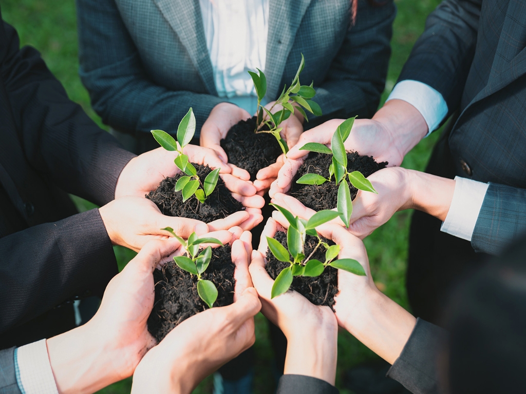 开云官方站官网